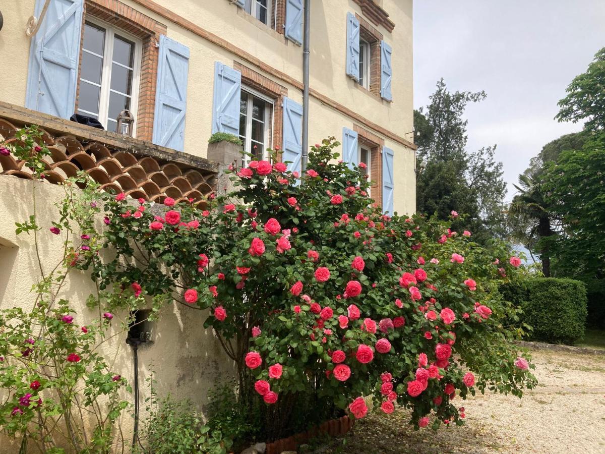 Domaine de Ménerque - petit château avec piscine Lisle-sur-Tarn Extérieur photo