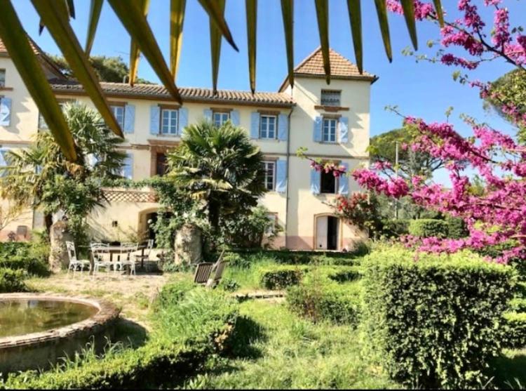 Domaine de Ménerque - petit château avec piscine Lisle-sur-Tarn Extérieur photo