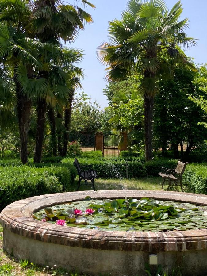 Domaine de Ménerque - petit château avec piscine Lisle-sur-Tarn Extérieur photo